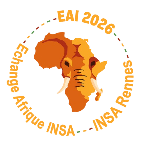 Échange Afrique INSA